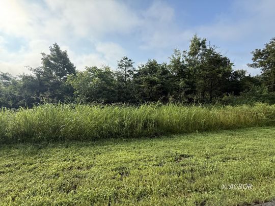 2093 Cox Rd.