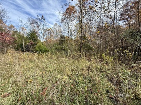 1390 Orchard Hill Rd.