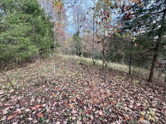 1390 Orchard Hill Rd.