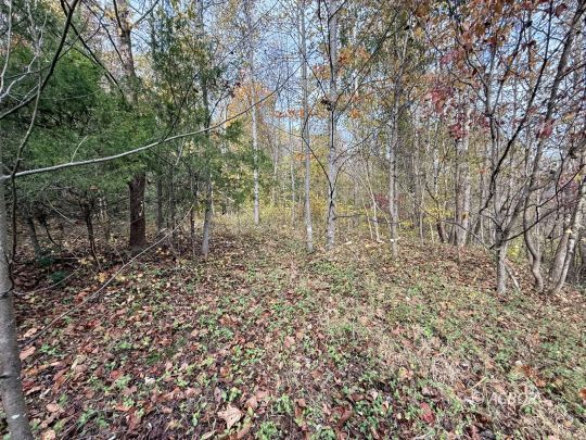 1390 Orchard Hill Rd.