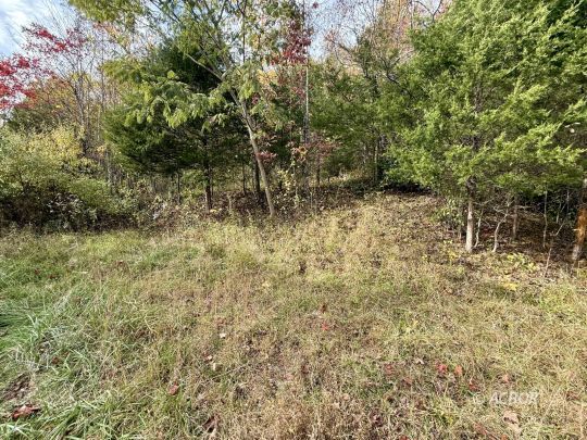 1390 Orchard Hill Rd.