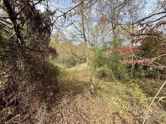 1390 Orchard Hill Rd.