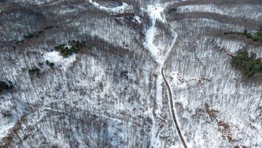 Jessie Creek Rd.