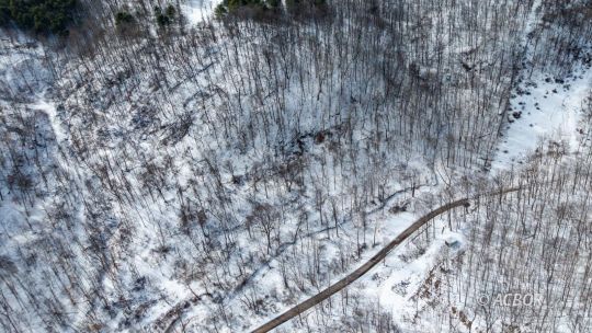 Jessie Creek Rd.