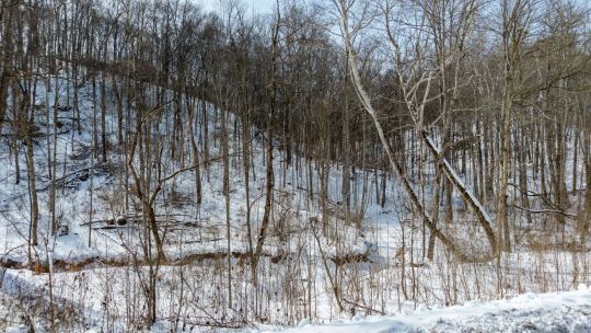 Jessie Creek Rd.