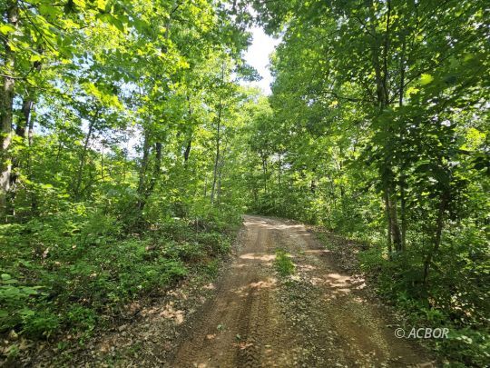 545 Peters Branch Rd