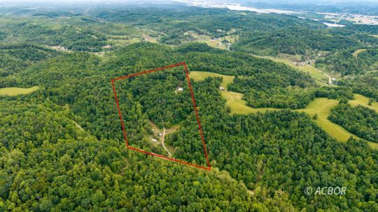 545 Peters Branch Rd