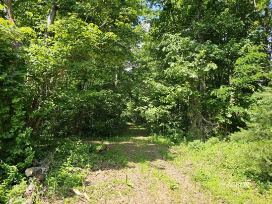 545 Peters Branch Rd