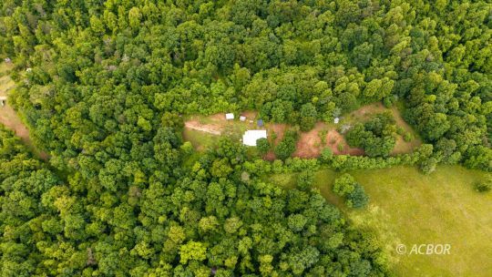 545 Peters Branch Rd