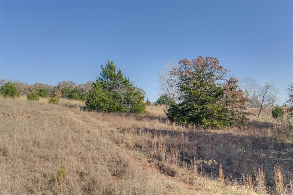 20176 Rock Hollow Road