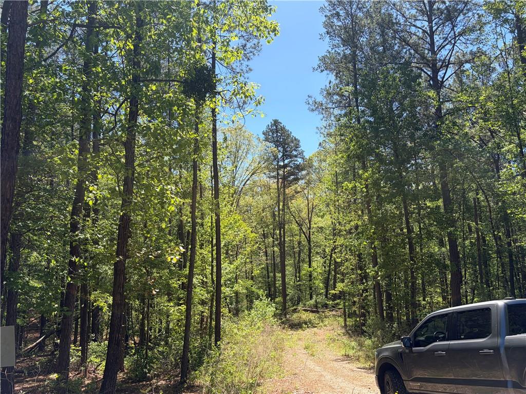 0 Gore Lakes Road