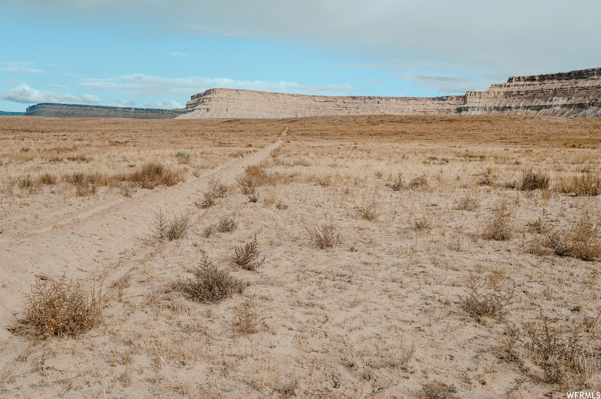 Undeveloped desert land with a faint dirt track and layered sandstone mesas in the distance.