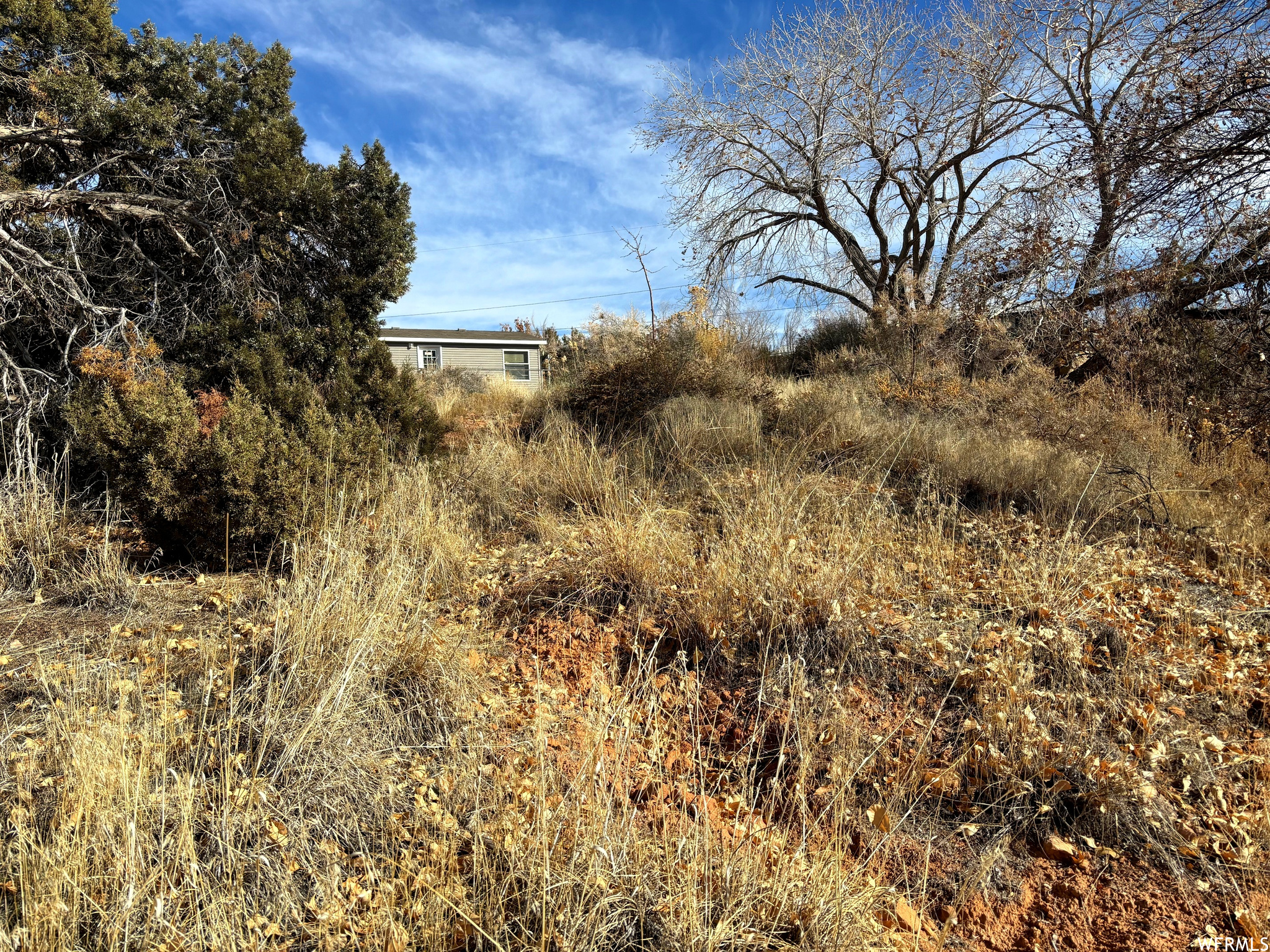 1982 CEDAR MESA CT
