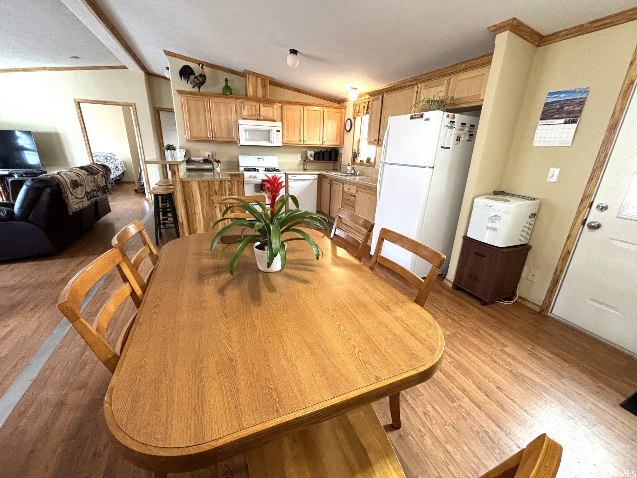 1982 CEDAR MESA CT