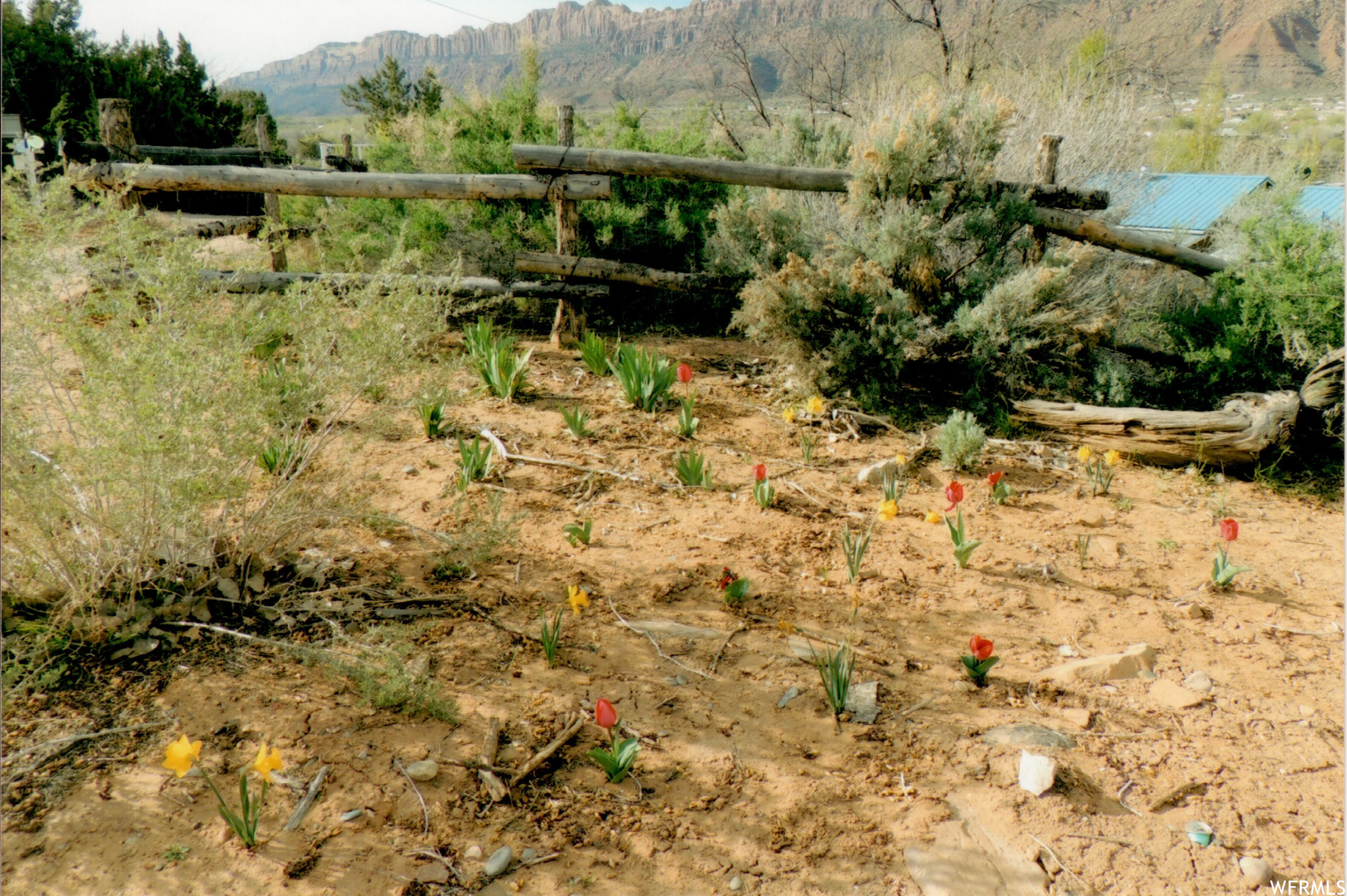1982 CEDAR MESA CT