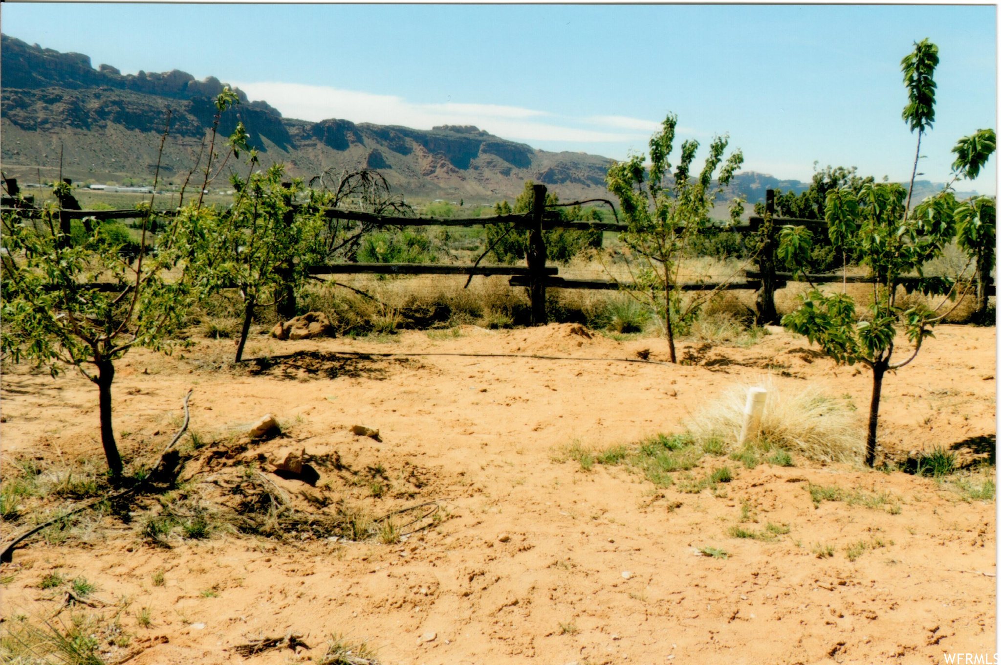 1982 CEDAR MESA CT