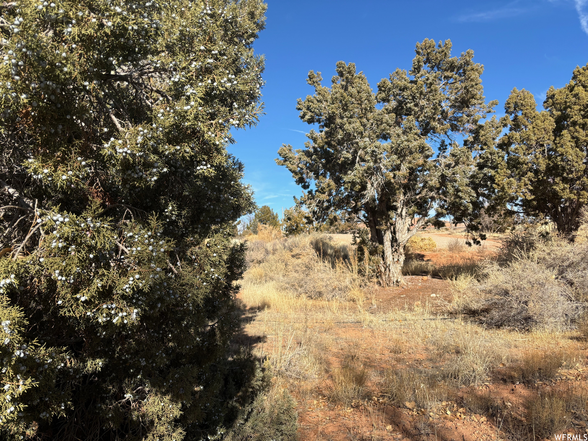 1982 CEDAR MESA CT
