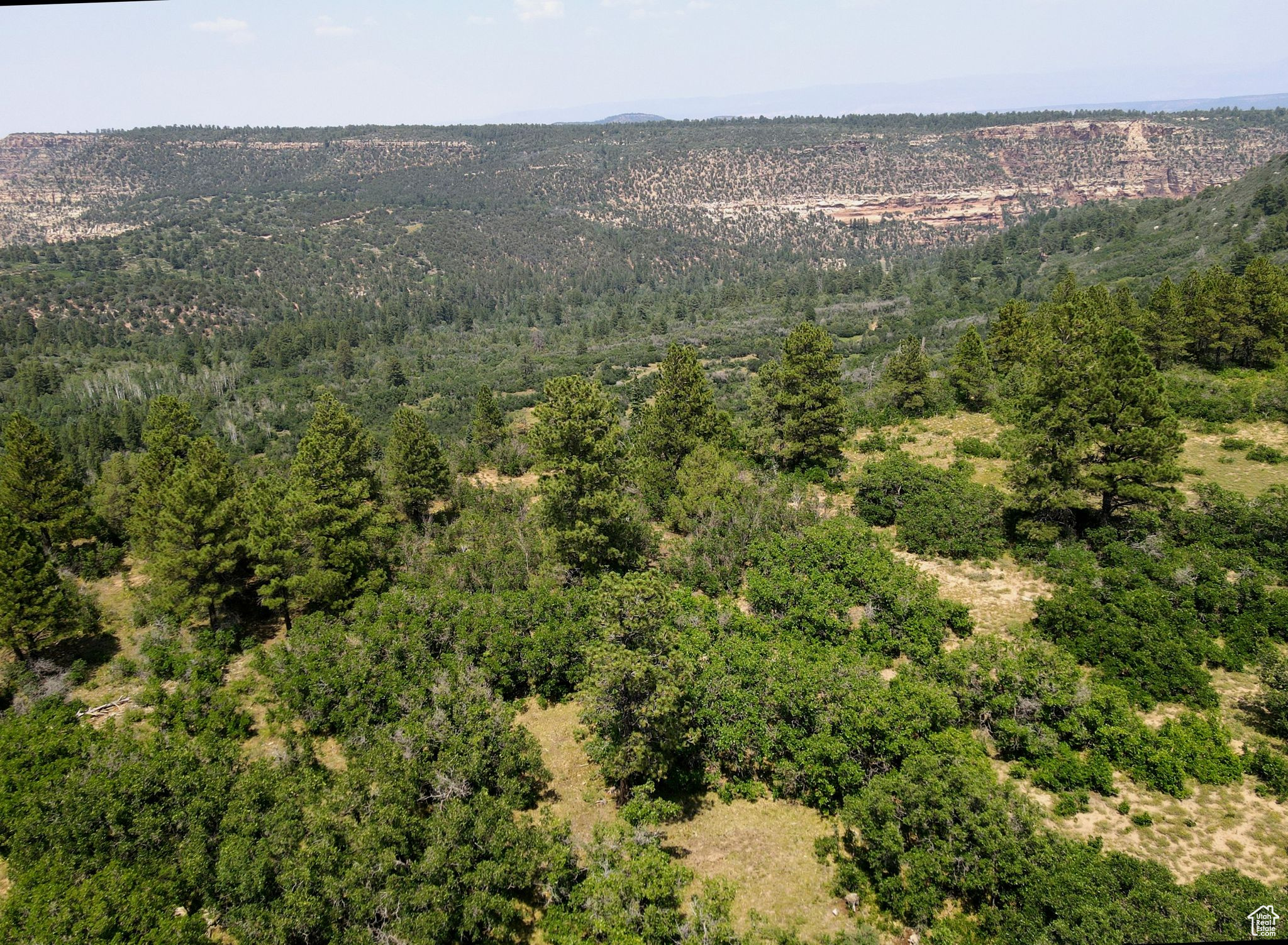 205 BEAVER CREEK OVERLOOK