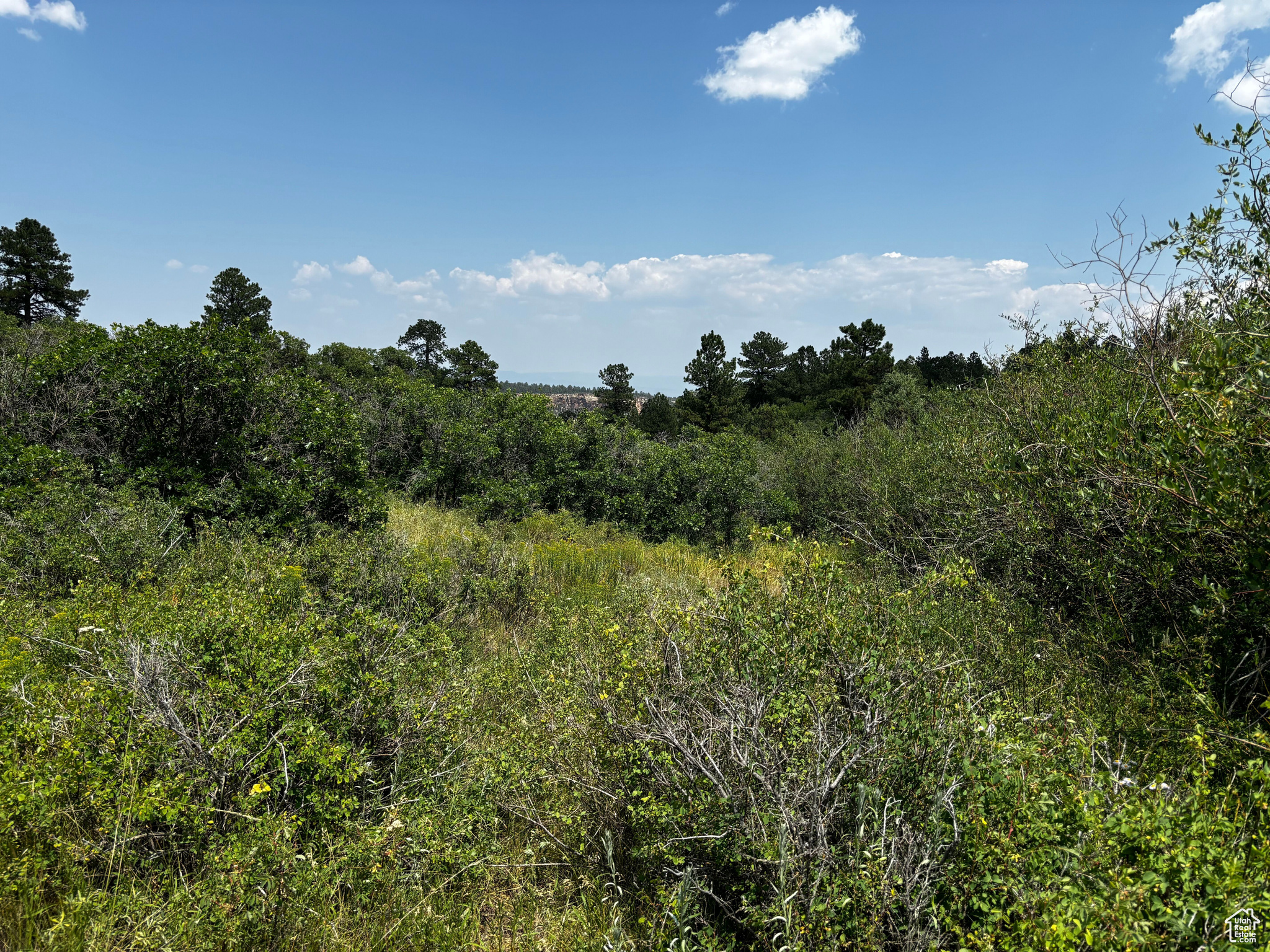 205 BEAVER CREEK OVERLOOK
