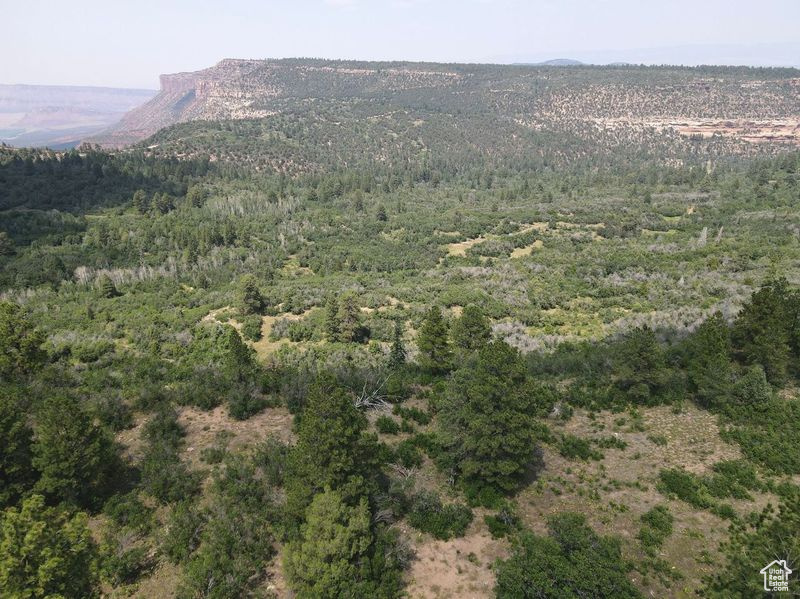 205 BEAVER CREEK OVERLOOK
