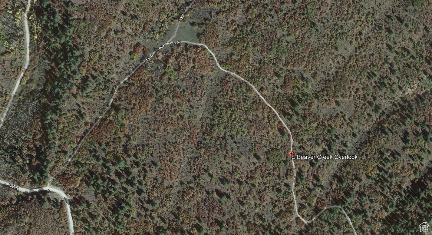 205 BEAVER CREEK OVERLOOK