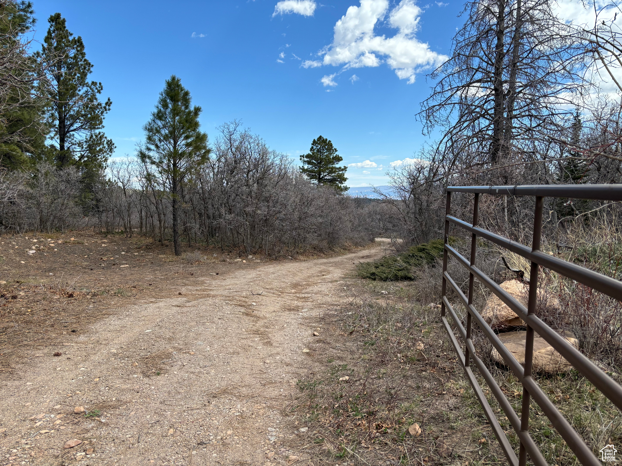 205 BEAVER CREEK OVERLOOK