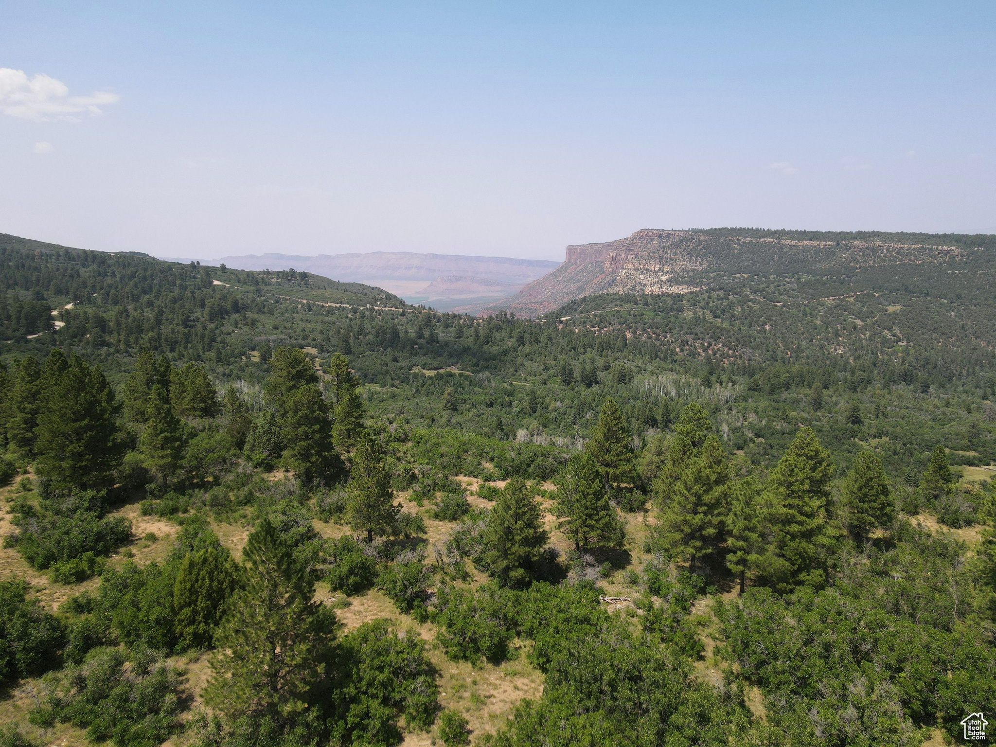 205 BEAVER CREEK OVERLOOK