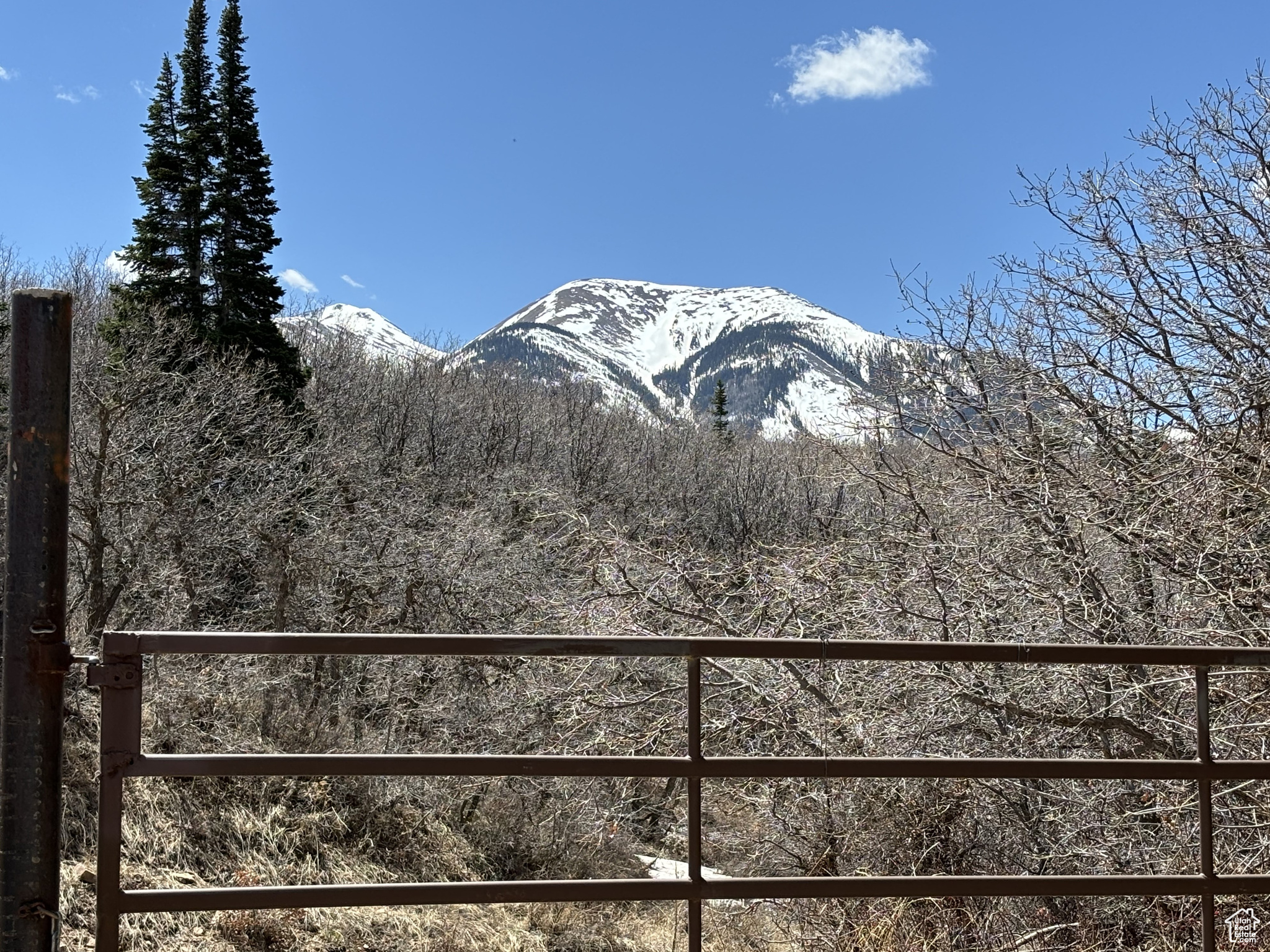 205 BEAVER CREEK OVERLOOK