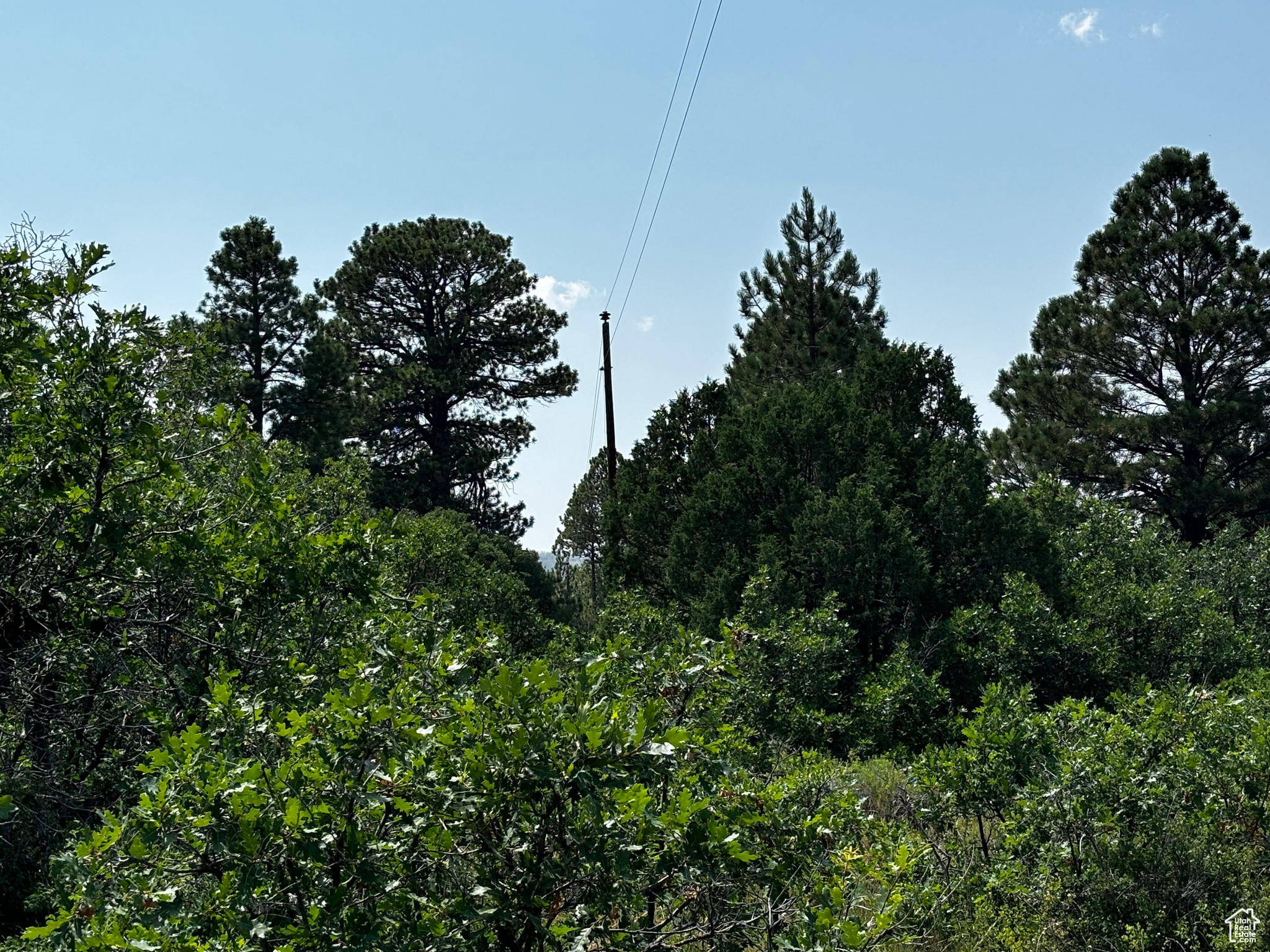 205 BEAVER CREEK OVERLOOK
