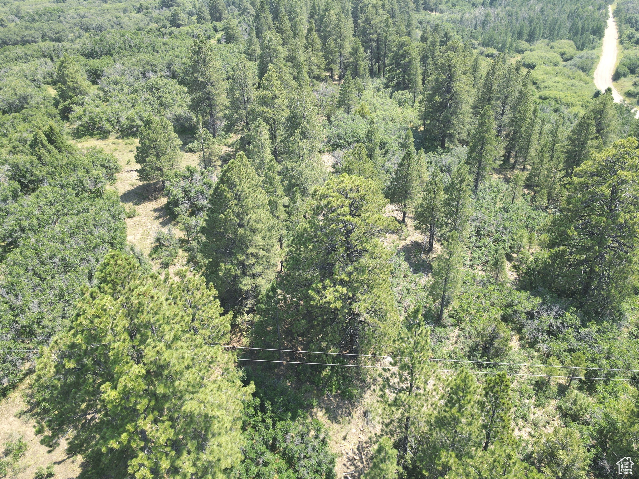 205 BEAVER CREEK OVERLOOK