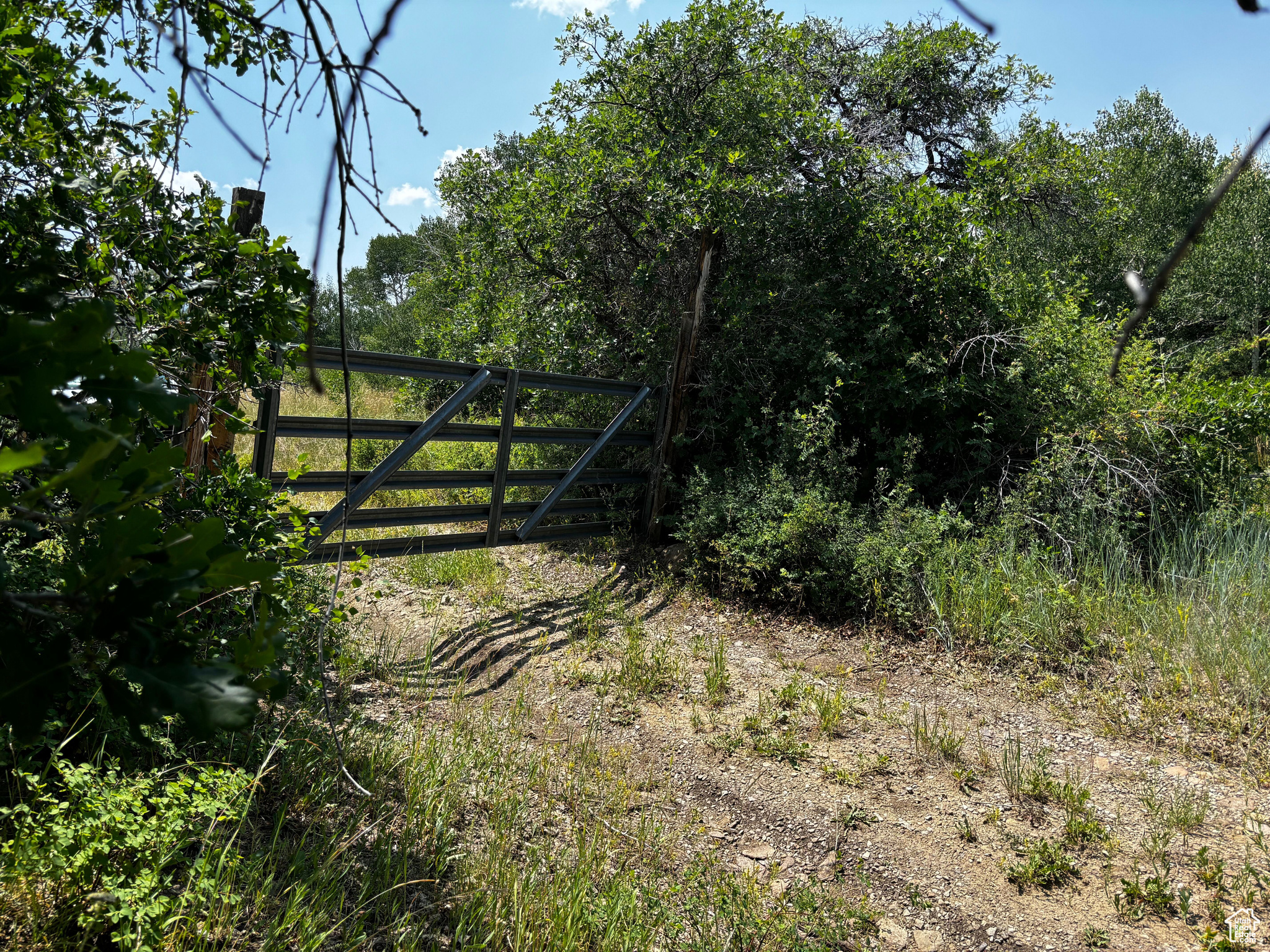 205 BEAVER CREEK OVERLOOK