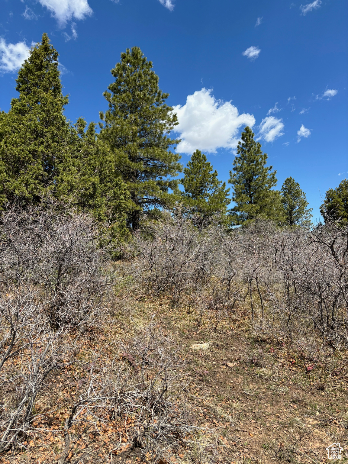 205 BEAVER CREEK OVERLOOK