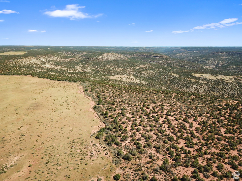 379 S BUG POINT SPUR