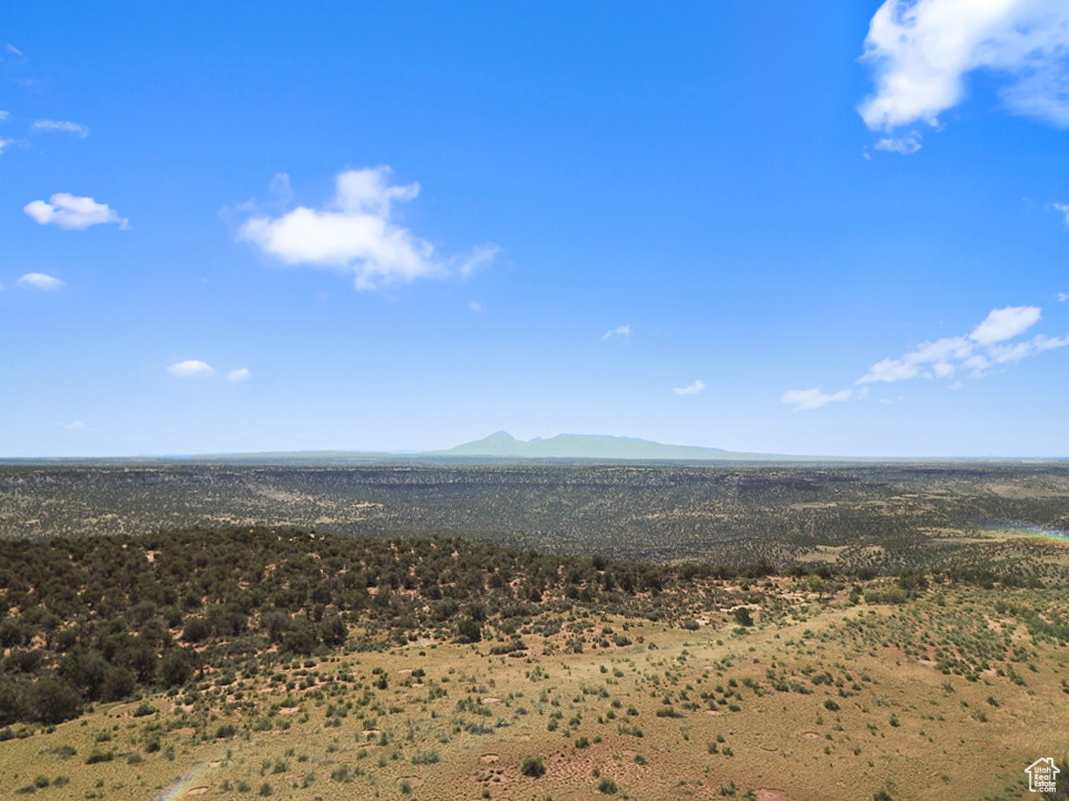 379 S BUG POINT SPUR