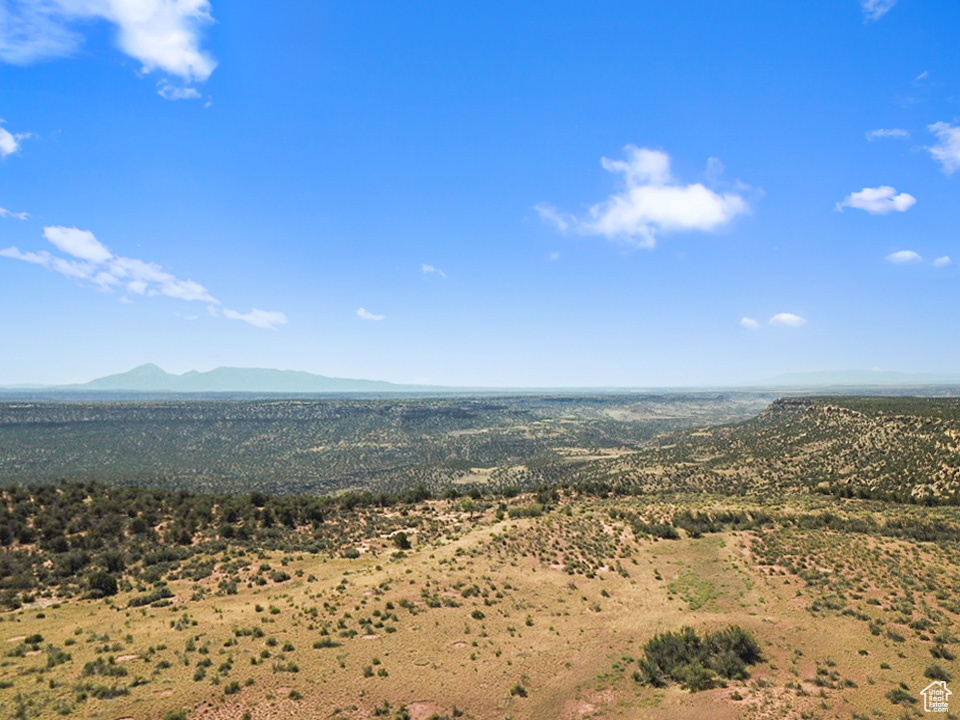 379 S BUG POINT SPUR