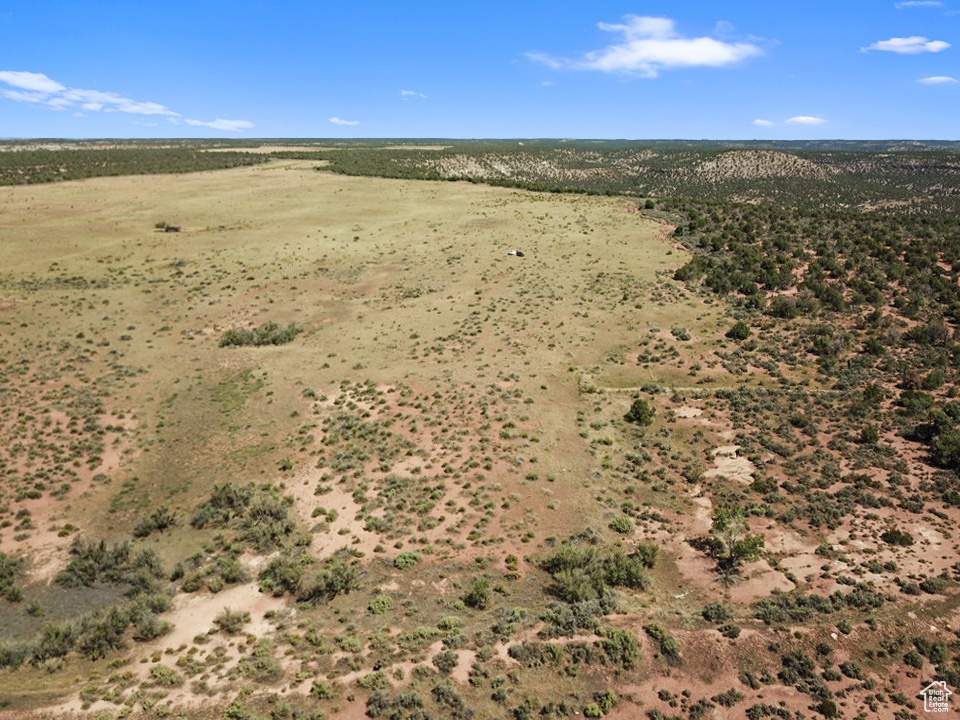 379 S BUG POINT SPUR