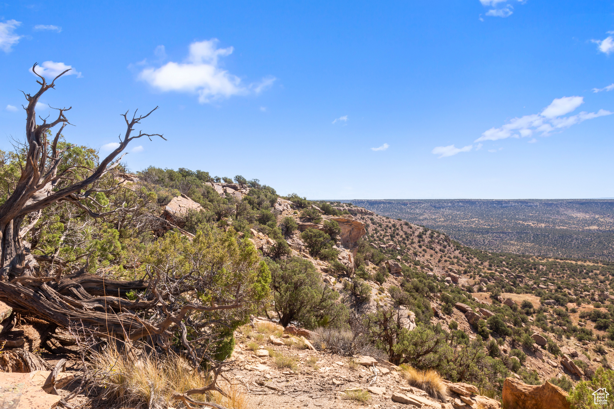 379 S BUG POINT SPUR
