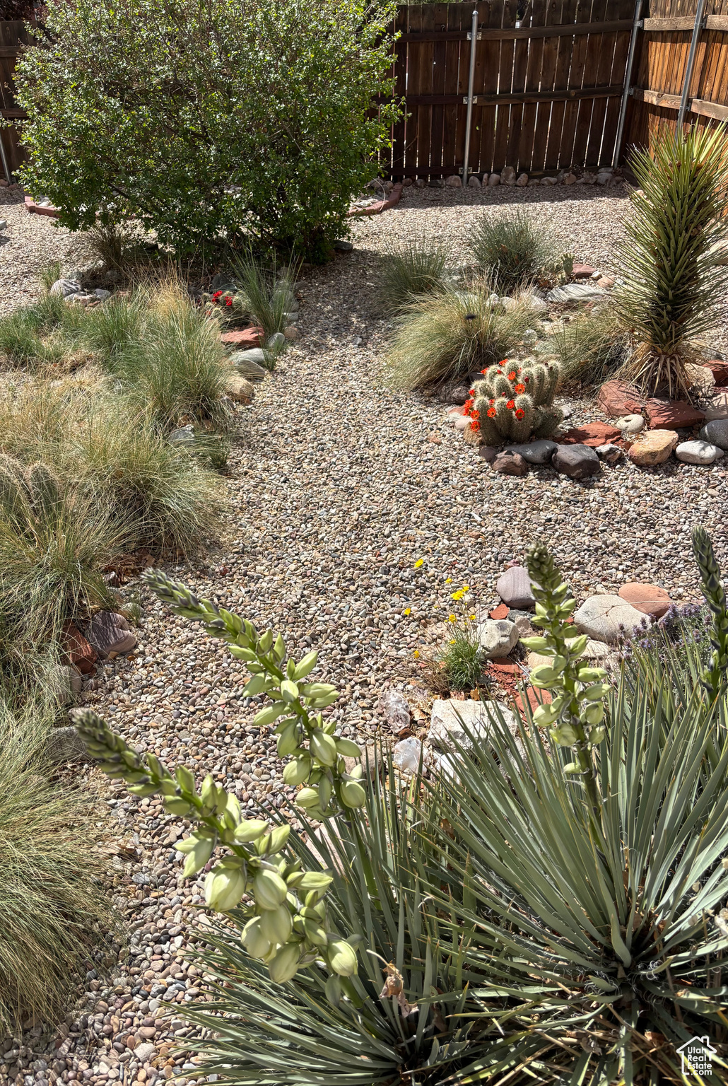380 PORTAL VISTA LOOP