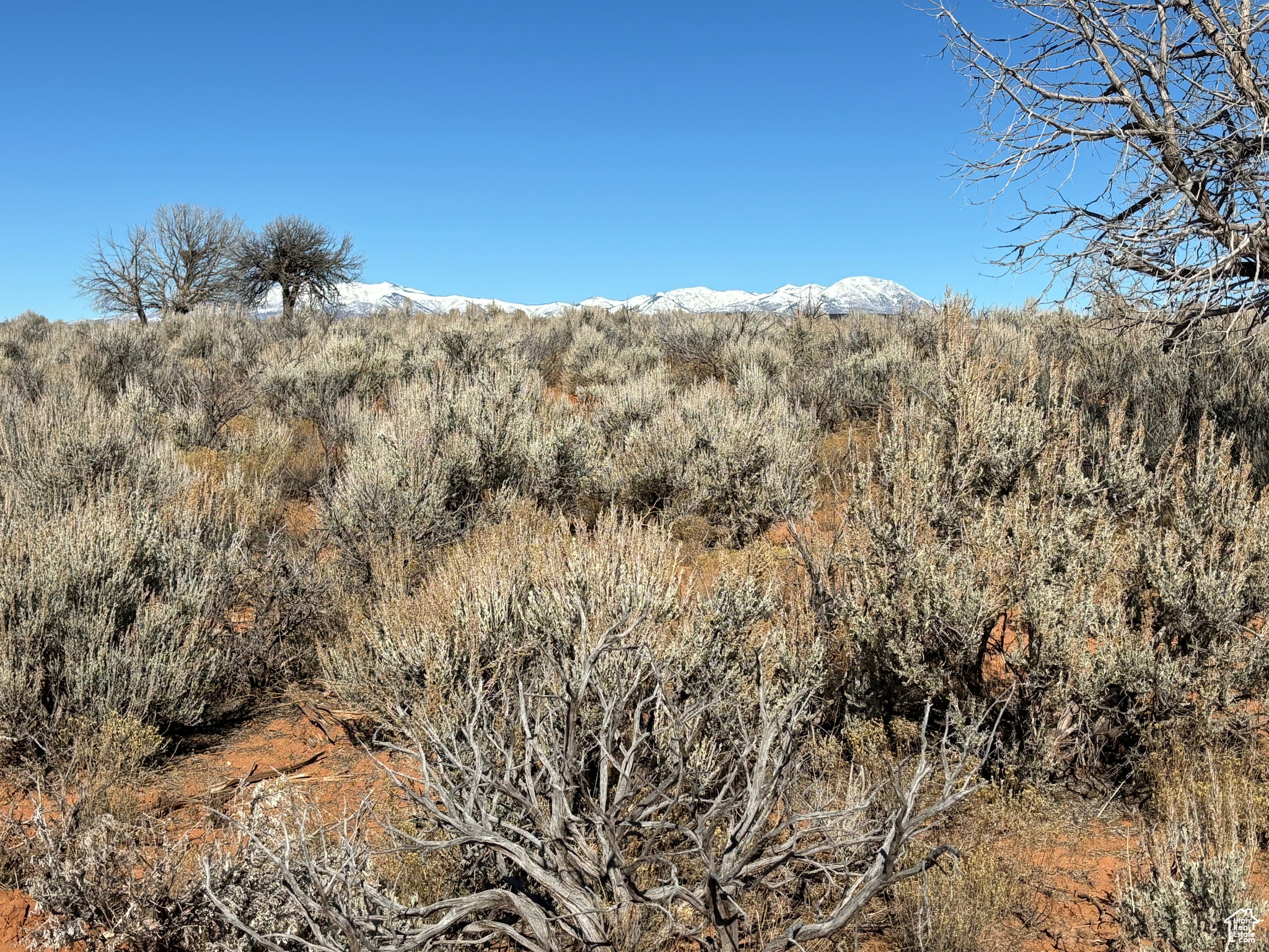 129 S AVIKAN HILLS DR Unit: 8