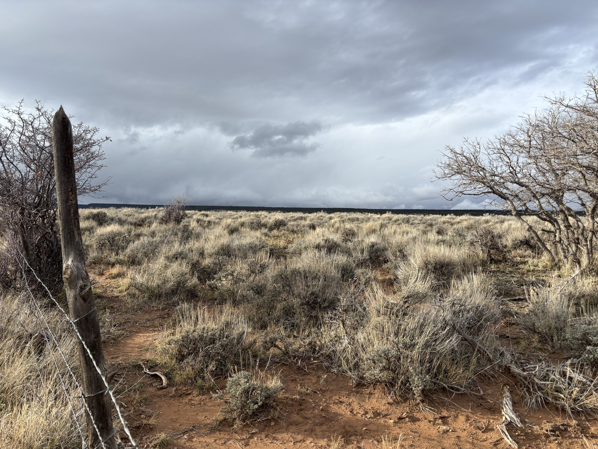 167 W GORDON RESERVOIR RD