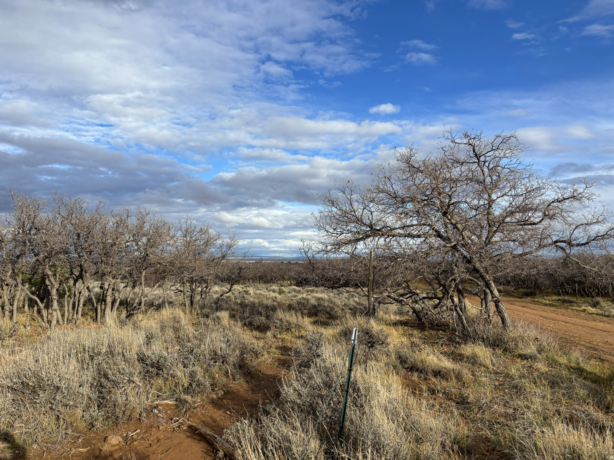 167 W GORDON RESERVOIR RD