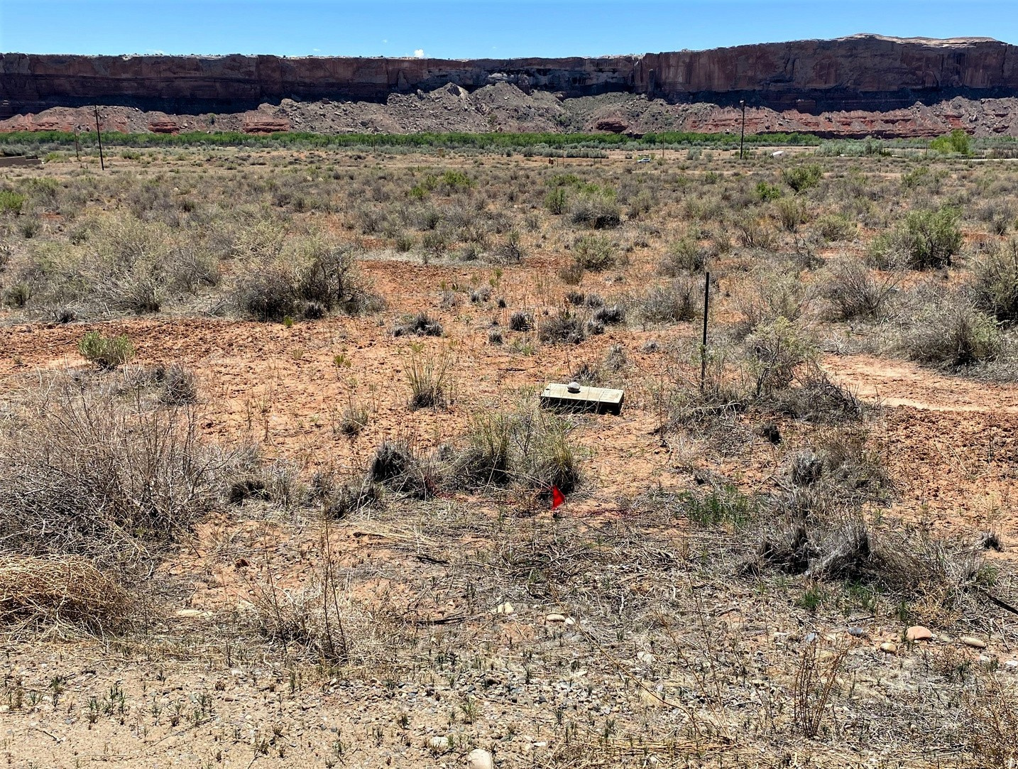 998 W COTTONWOOD AVE