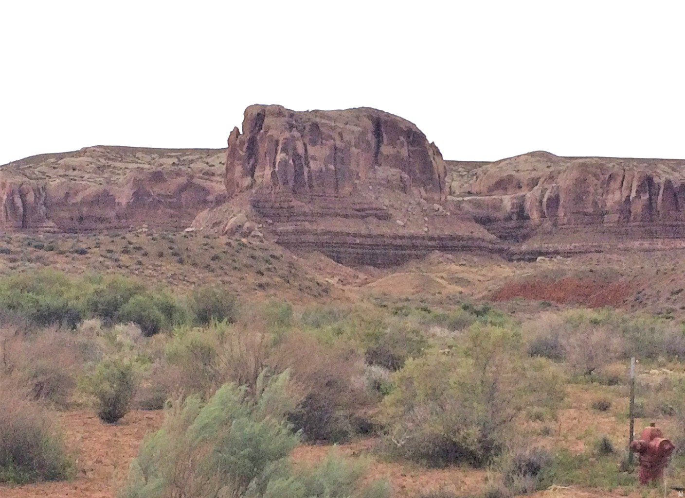 998 W COTTONWOOD AVE