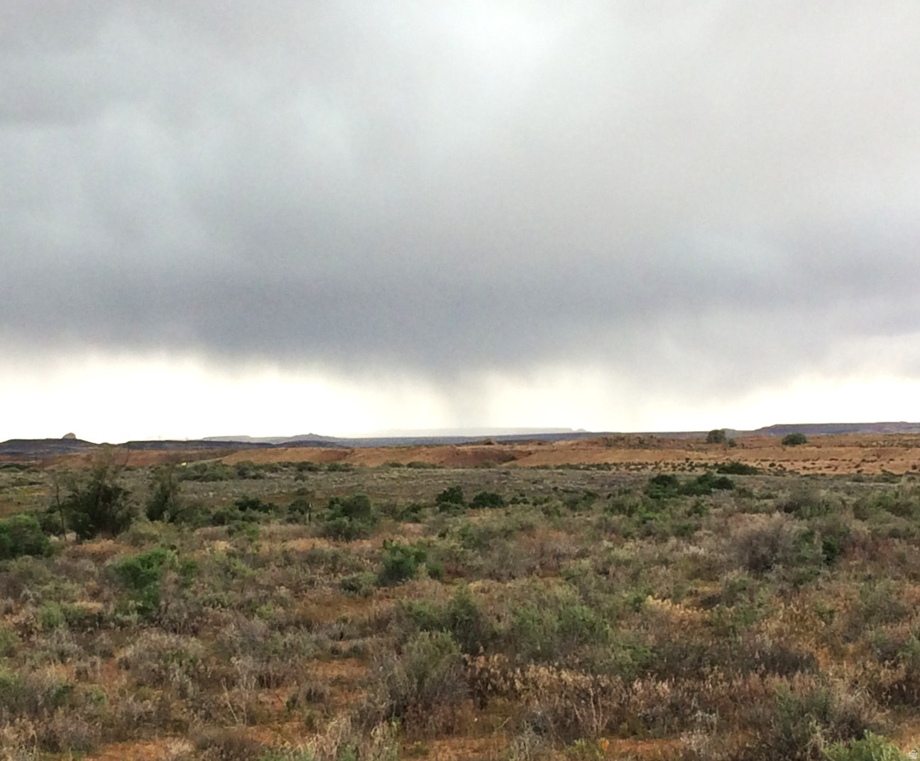 998 W COTTONWOOD AVE