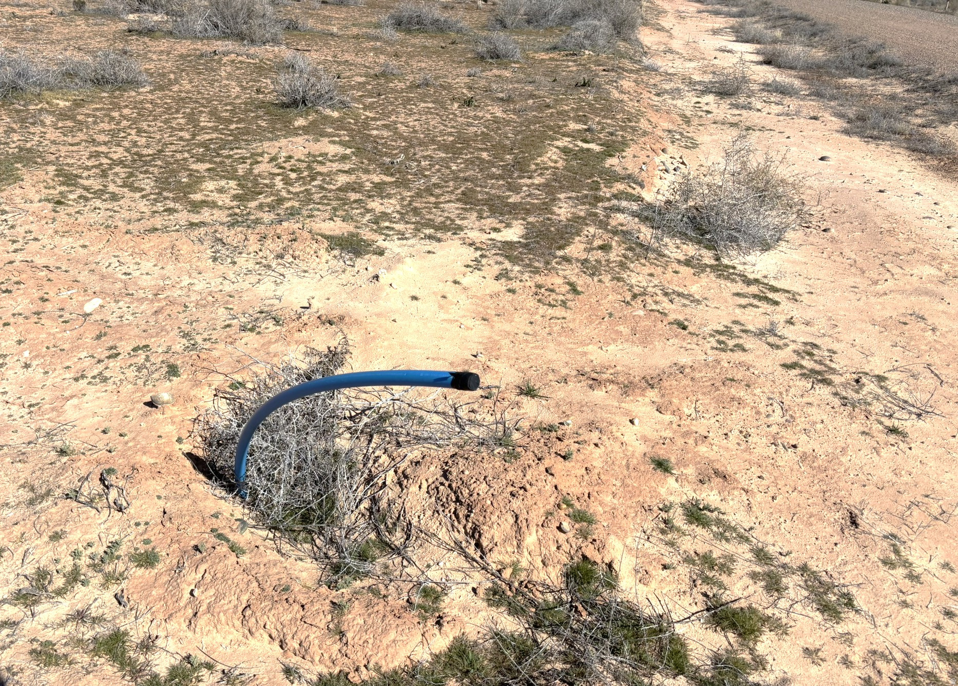 964 W PRICKLY PEAR AVE Unit: 6