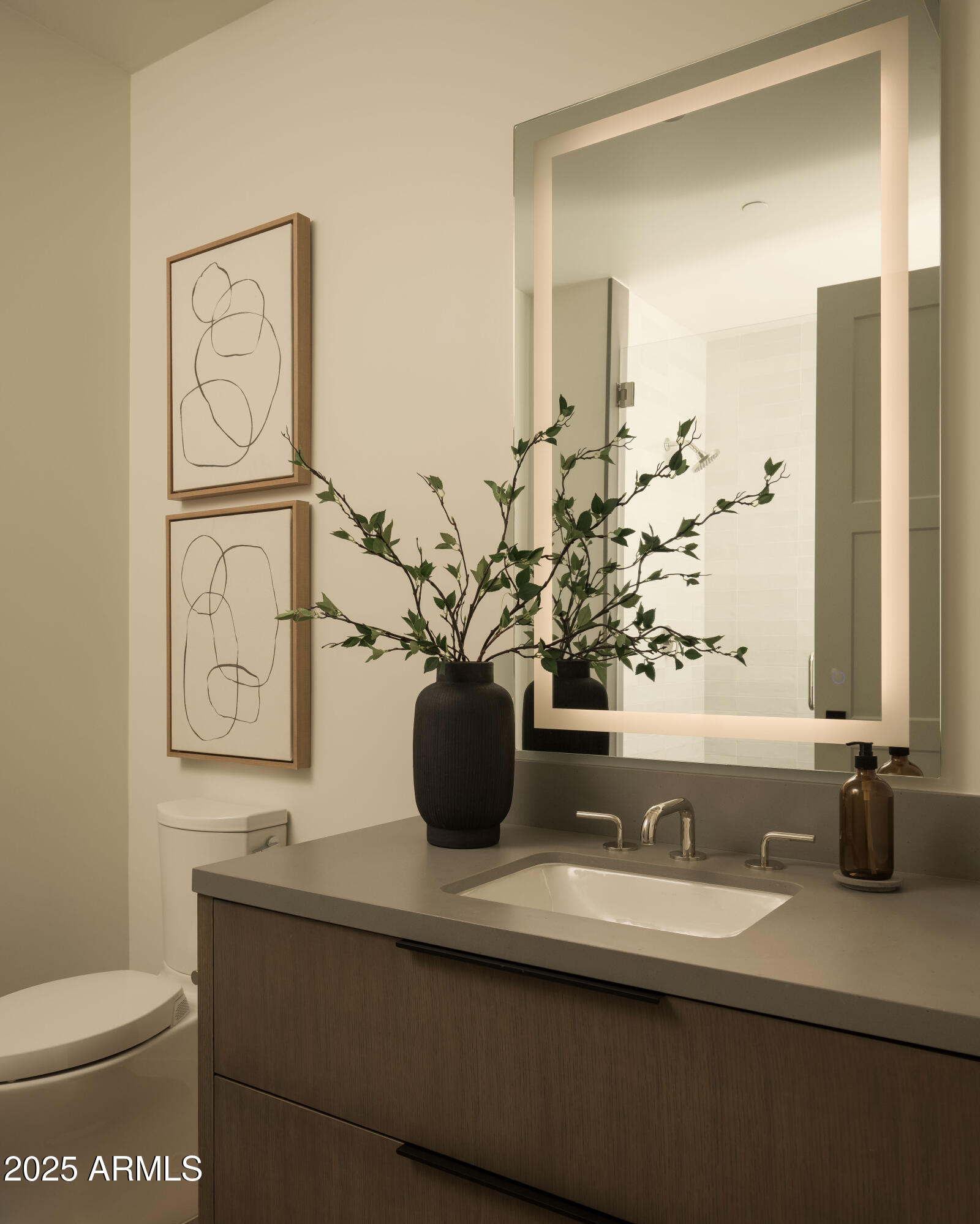 Staged bathroom vanity with an illuminated mirror, dark wood cabinetry, and leafy branches in a vase.