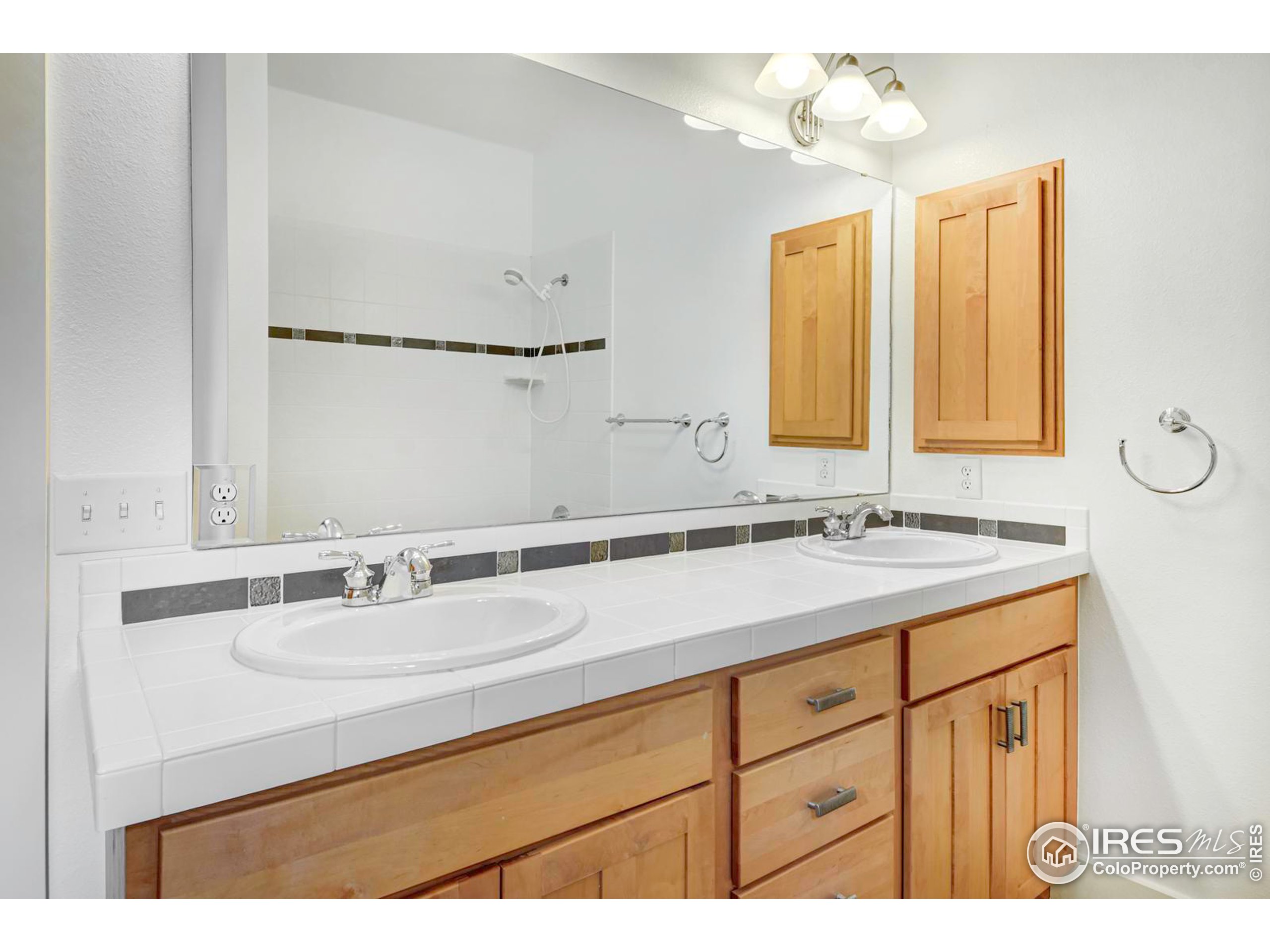 1012 Neon Forest Cir