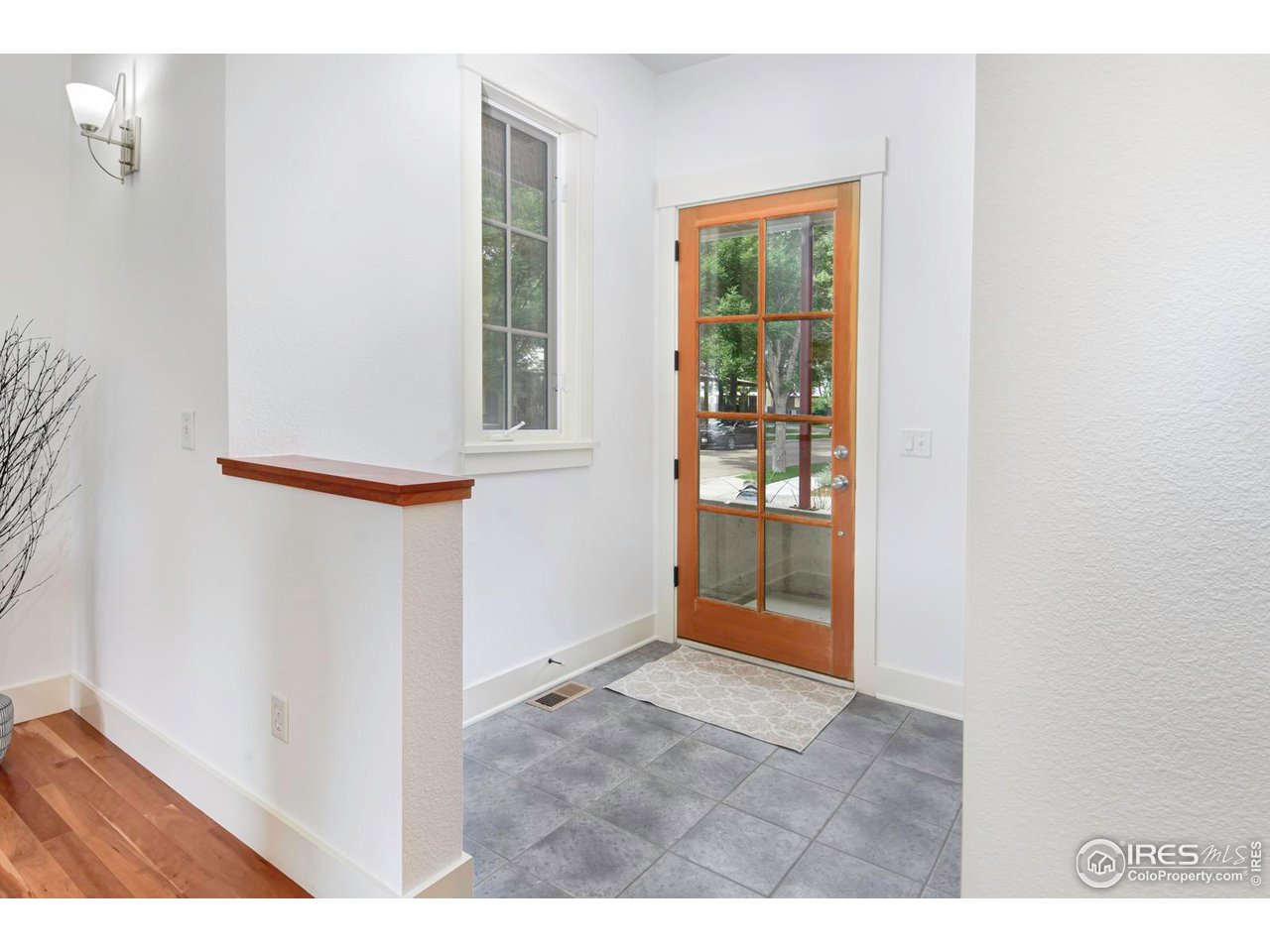 1012 Neon Forest Cir