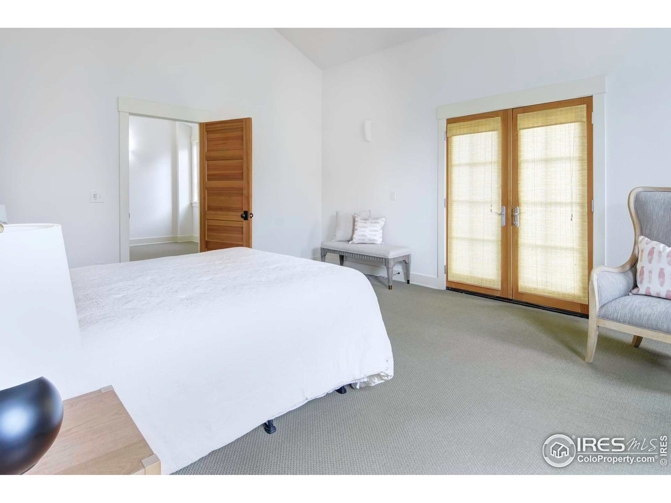 1012 Neon Forest Cir