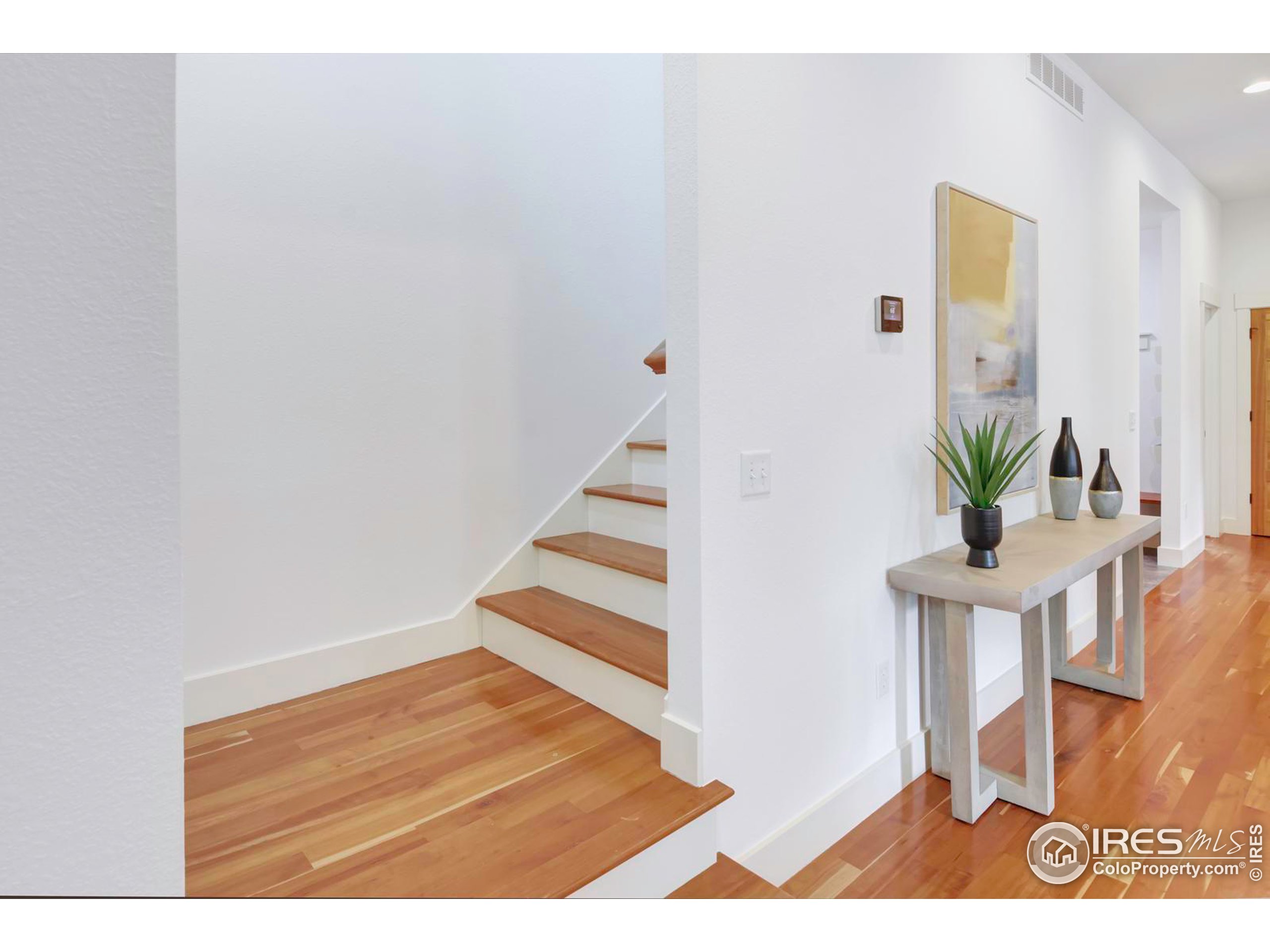 1012 Neon Forest Cir